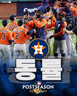 Image post by @mlb.korea on Instagram
