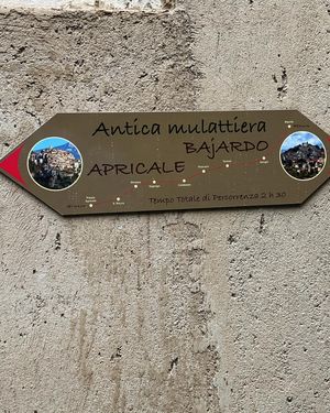 Image post by @alessandra_chiappa on Instagram