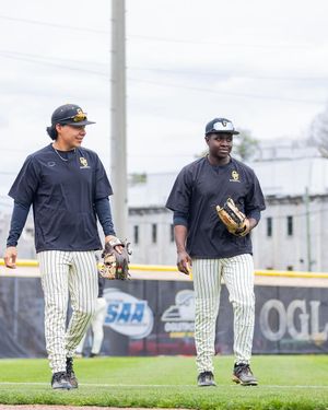 Image post by @gopetrelsbsb on Instagram