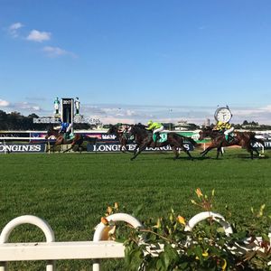 Image post by @australianturfclub on Instagram