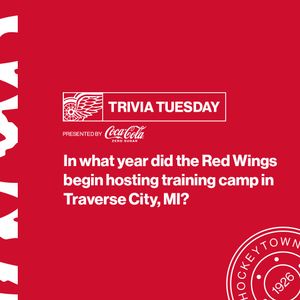 Image post by @DetroitRedWings on Twitter