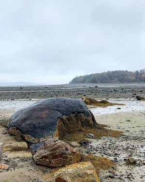 Image post by @themainemag on Instagram