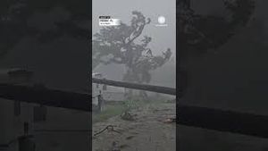 Video post by @accuweather on YouTube