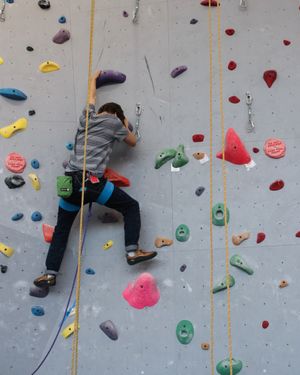 Image post by @sfsu_campusrec on Instagram