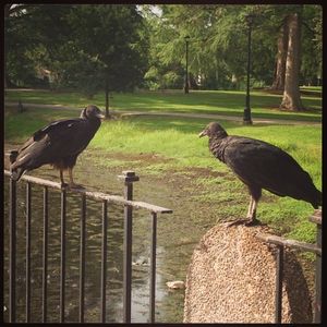 Image post by @txst on Instagram