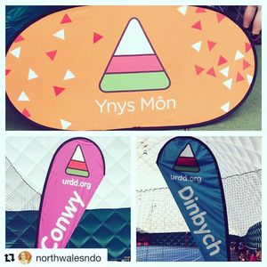 Image post by @walesnetball_ on Instagram