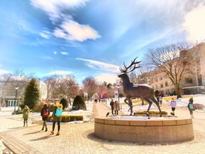 Image post by @fairfieldu on Instagram