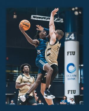 Image post by @fiuhoops on Instagram