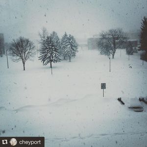 Image post by @shippensburgu on Instagram