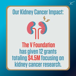 Image post by @thevfoundation on Instagram