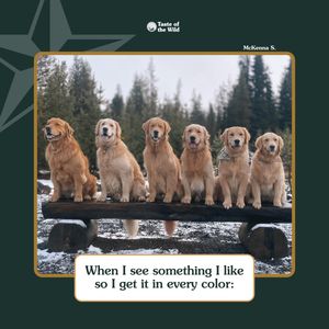 Image post by @totwpetfood on Twitter