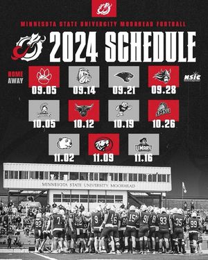 Image post by @msum_football on Instagram