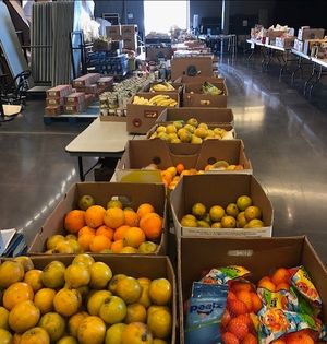 Image post by @csuamplify on Instagram