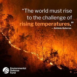 Image post by @environmental_defense_fund on Instagram