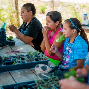 Image post by @kidsgardening on Instagram