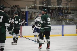 Image post by @ohiohockeyd2 on Instagram