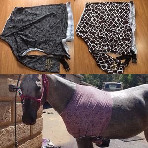 Image post by @flynhighhorsewear on Instagram