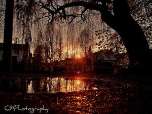 Image post by @c91photography on Instagram