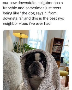 Image post by @nextdoor on Instagram