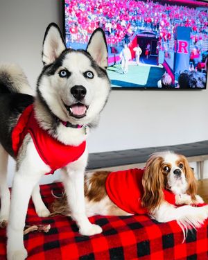 Image post by @rutgersu on Instagram