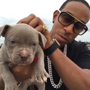 Image post by @ludacris on Instagram