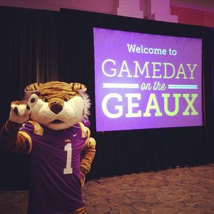 Image post by @lsumiketiger on Instagram