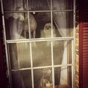 Image post by @mgborja on Instagram