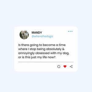 Image post by @bluebuffalo on Instagram