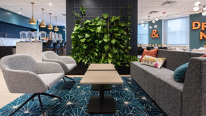 Image post by @kitweets on Twitter