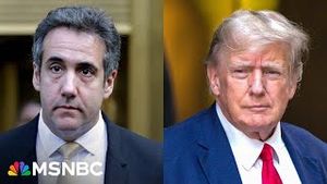 Video post by @msnbc on YouTube