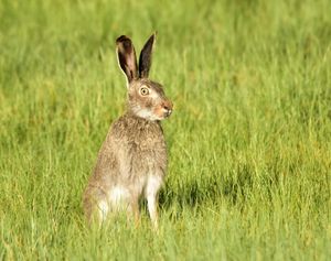 Image post by @nationalparktrust on Instagram
