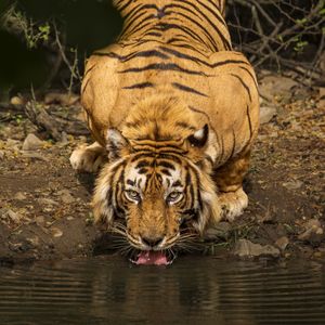 Image post by @discovery on Instagram