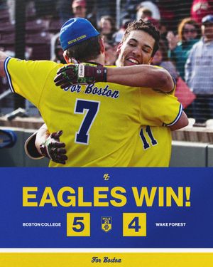 Image post by @BCBirdBall on Twitter
