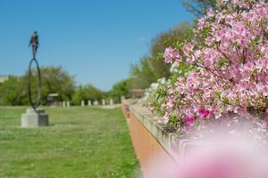 Image post by @uofsouthalabama on Instagram