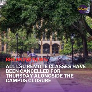 Image post by @lsutigertv on Instagram