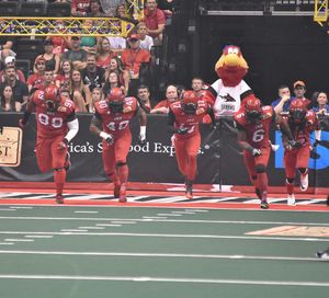 Image post by @jaxsharks on Instagram