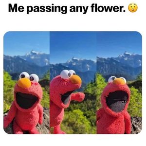 Image post by @shopearthhero on Instagram