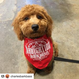 Image post by @navigationbrewingco on Instagram