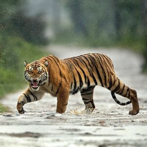 Image post by @discovery on Instagram