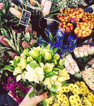 Image post by @sophieb on Instagram
