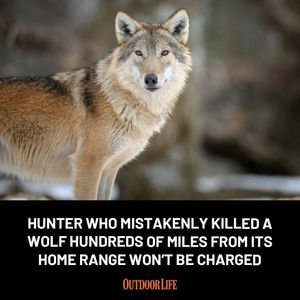 Image post by @outdoor_life on Instagram