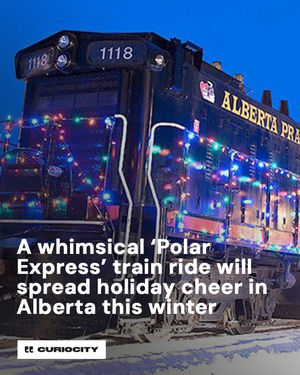 Image post by @curiocitycalgary on Instagram