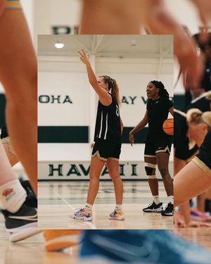 Image post by @vandalswbb on Instagram