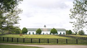 Image post by @spendthriftfarm on Instagram