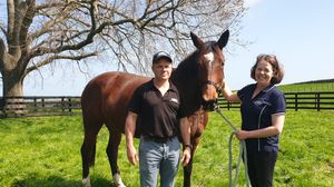 Image post by @NZHorseAmbulanceTrust on Facebook