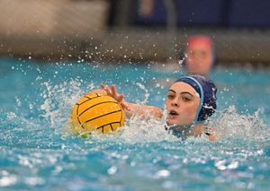 Image post by @novawaterpolo on Instagram