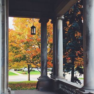 Image post by @olivetnazarene on Instagram