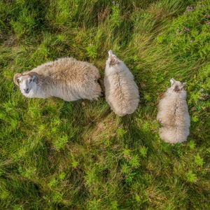 Image post by @discovery on Instagram