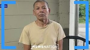 Video post by @newsnation on YouTube