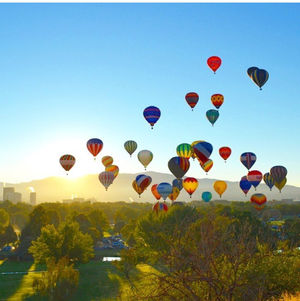 Image post by @hellomeridian on Instagram